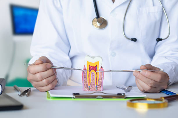 Best Emergency Dental Care for Trauma or Injury in Country Clu, CA